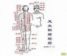 胃经的经络走向图