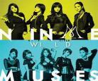 wild女团黑暗版本