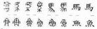 晴字的演变过程